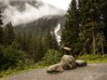 65 nach einem verregneten Vormittag wandern wir Nachmittags ueber den Wasserfall